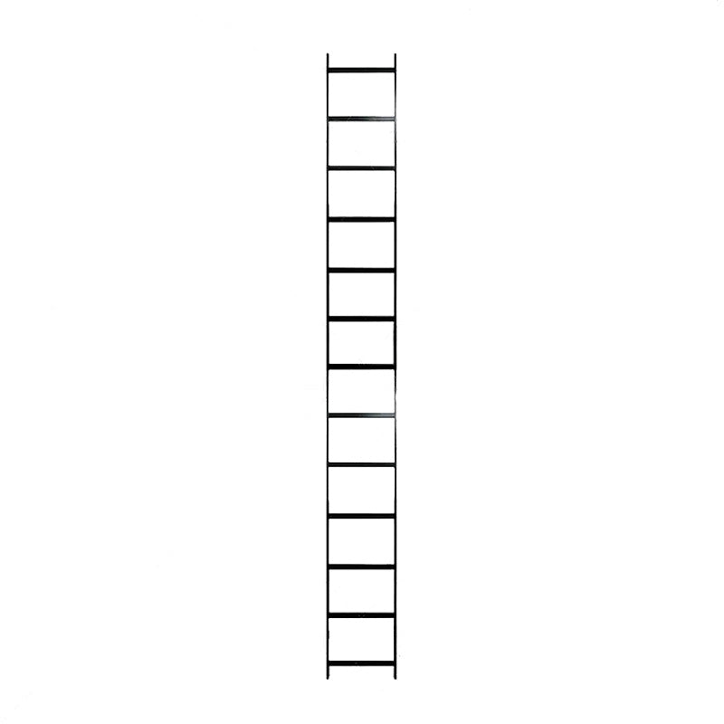 Wavenet Ladder Rack, Cable Runway Section 10’(L)x 12”(W) Black