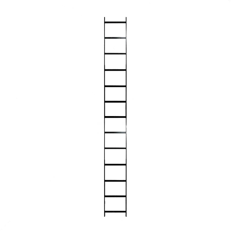 Wavenet Ladder Rack, Cable Runway Section 10’(L)x 12”(W) Black – Primespec1